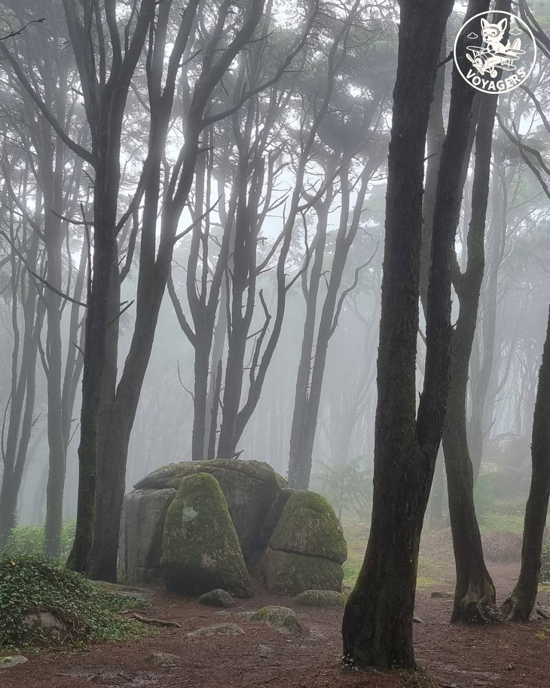 Sanctuaire de Peninha - Forêt enchantée sous la brume