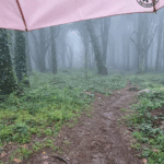 Sanctuaire de Peninha - Forêt enchantée sous le parapluie
