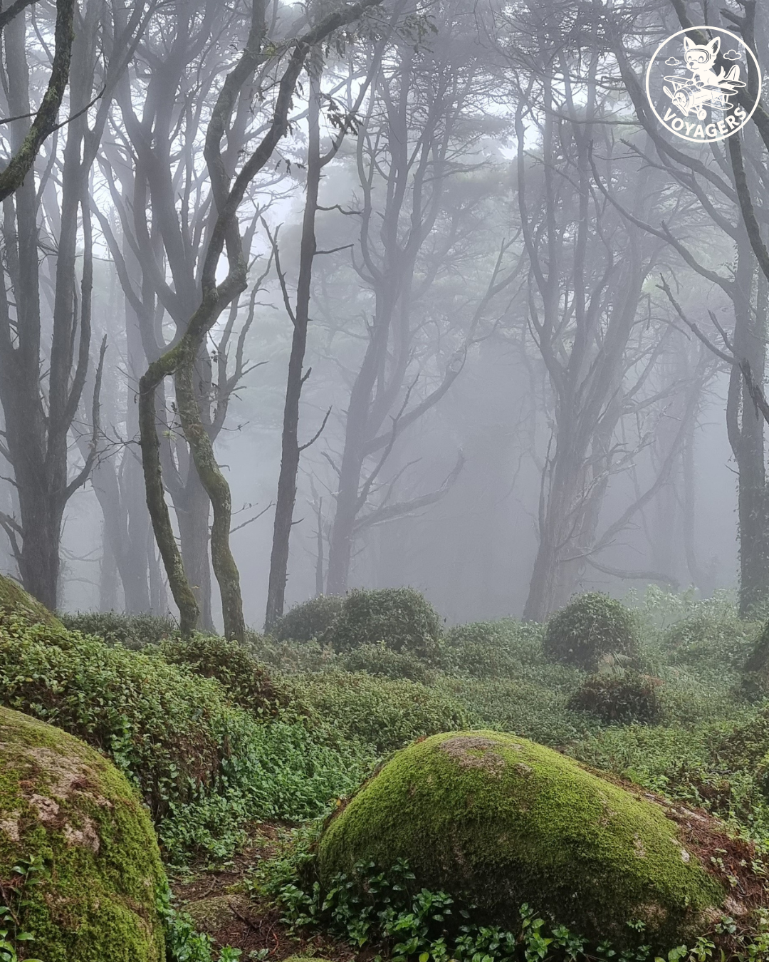 Sanctuaire de Peninha - La brume