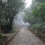Sanctuaire de Peninha - La rue pavée