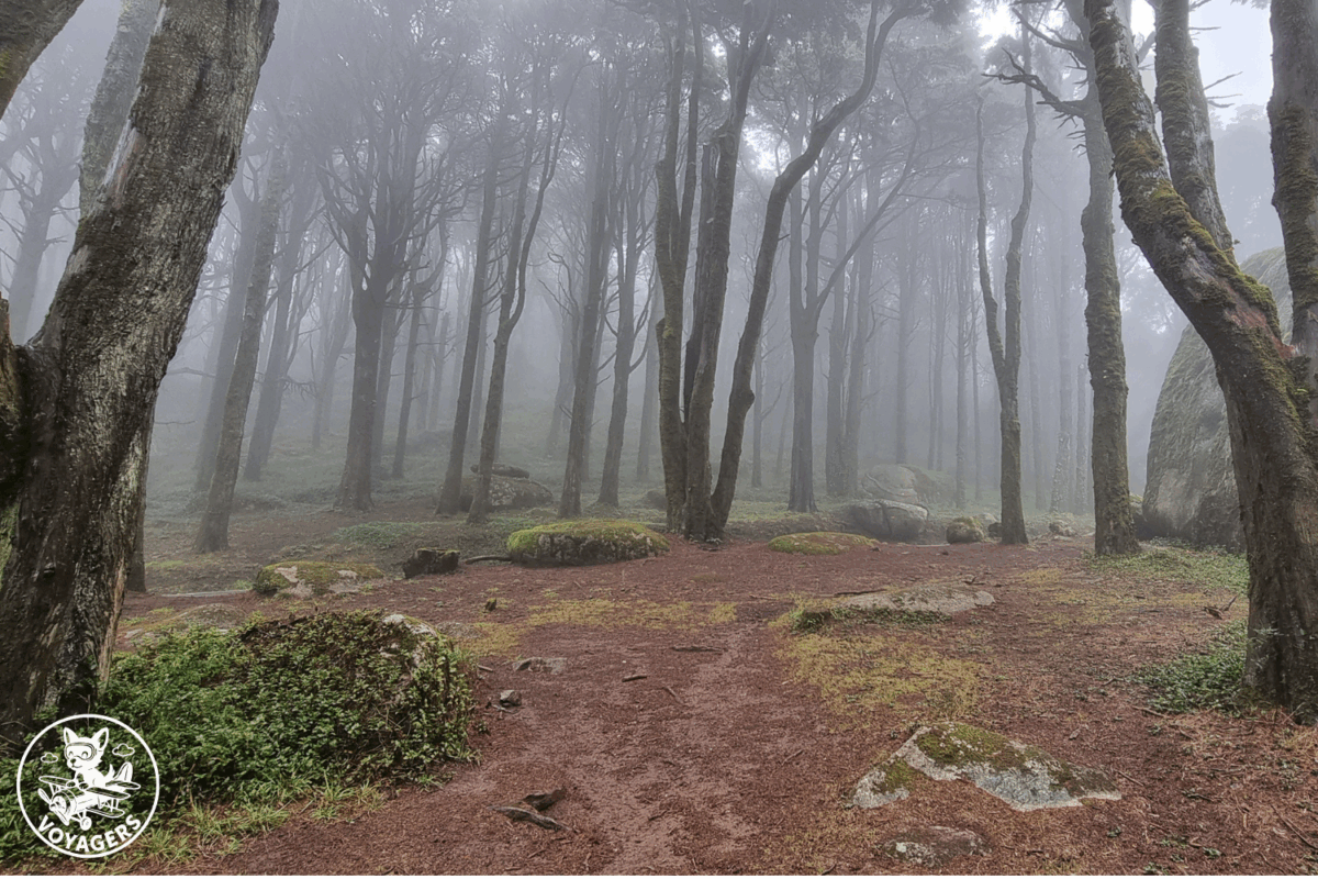 Sanctuaire de Peninha - L'ascension sous la brume