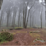 Sanctuaire de Peninha - L'ascension sous la brume