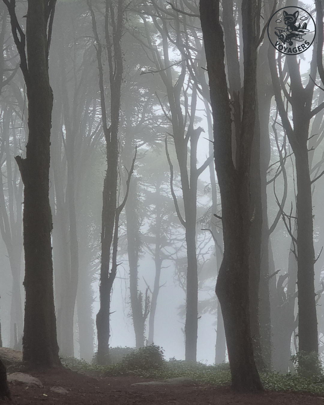 Sanctuaire de Peninha - Le chemin sous la brume