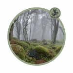 Sanctuaire de Peninha - Voyagers