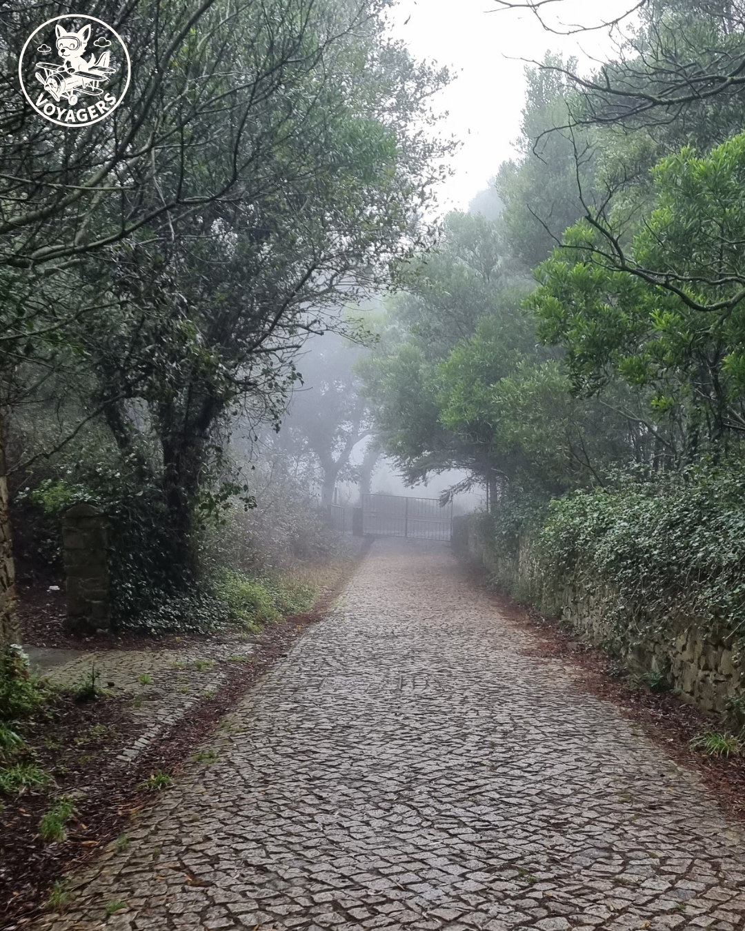 Sanctuary of Peninha - Cobblestone street