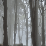 Sanctuary of Peninha - Path in the mis