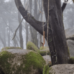 Sanctuary of Peninha - The rituals