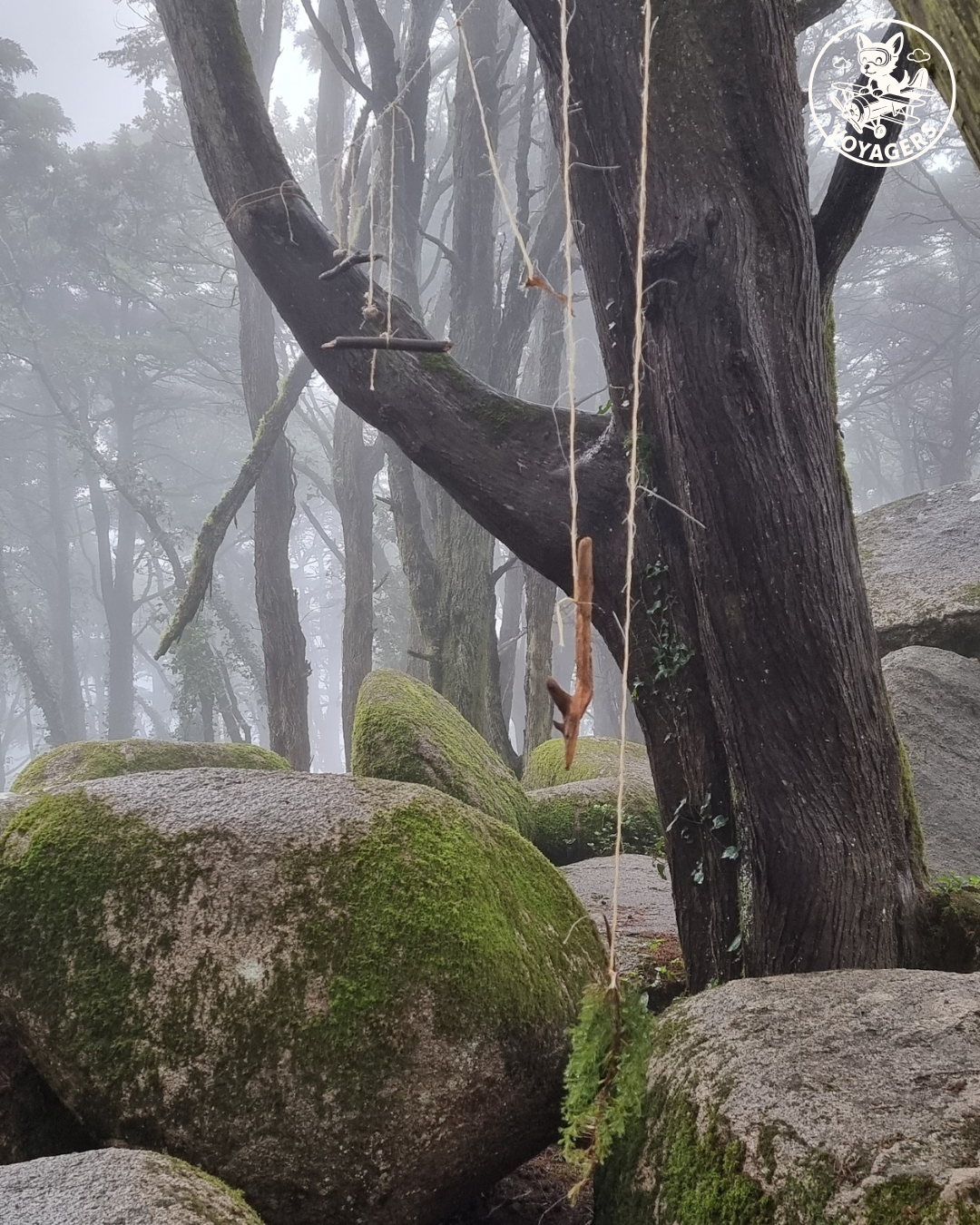 Sanctuary of Peninha - The rituals