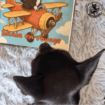 Skaia en voyage - Voyagers