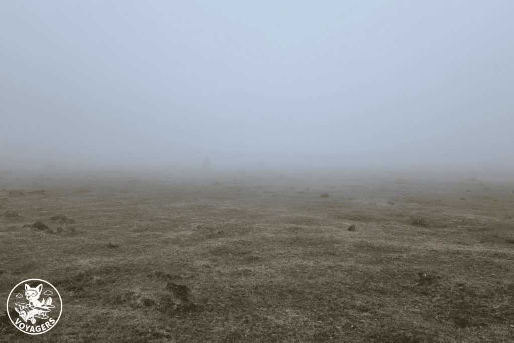 Prairie de Fanal recouverte par un brouillard dense à Madère