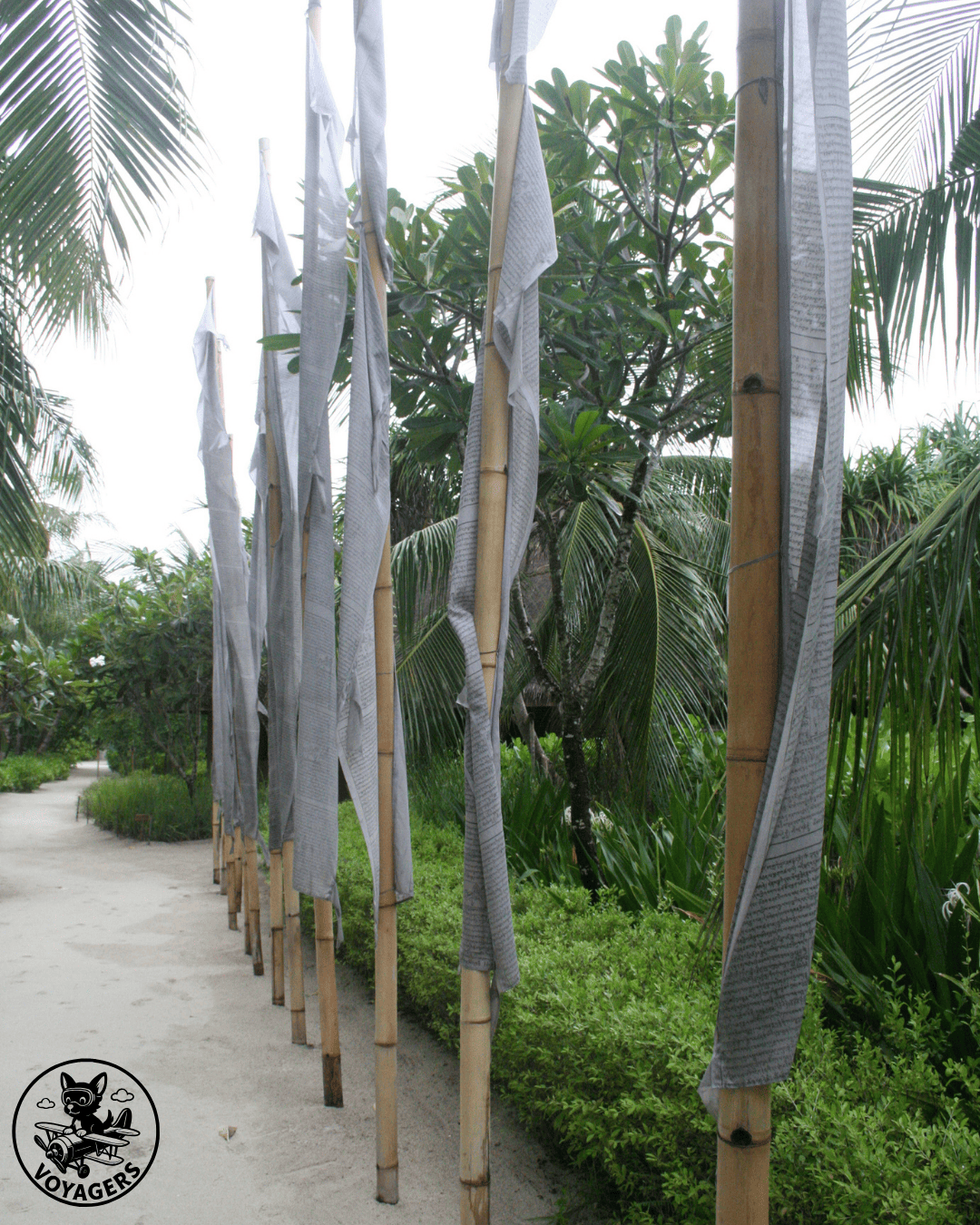 Bannières lungta colorées suspendues dans un décor tropical aux Maldives