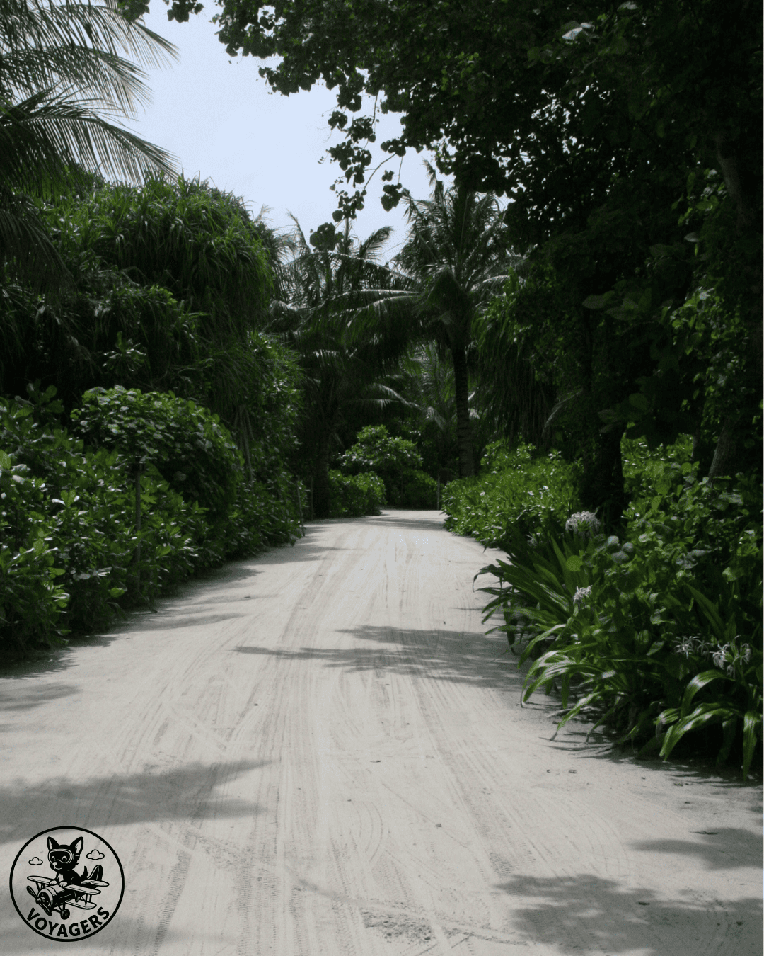 Chemin de sable traversant une île tropicale aux Maldives