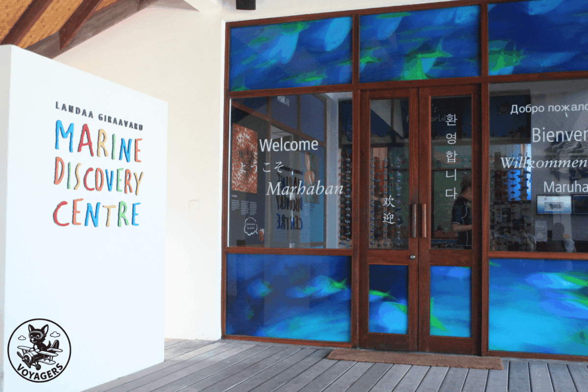 Marine Discovery Centre aux Maldives consacré à la vie marine