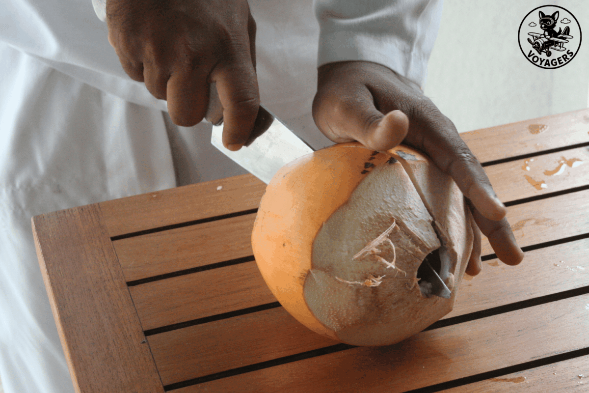 Ouverture d'une noix de coco fraîche aux Maldives