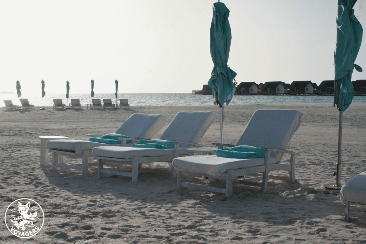 Transats installés sur une plage de sable clair aux Maldives