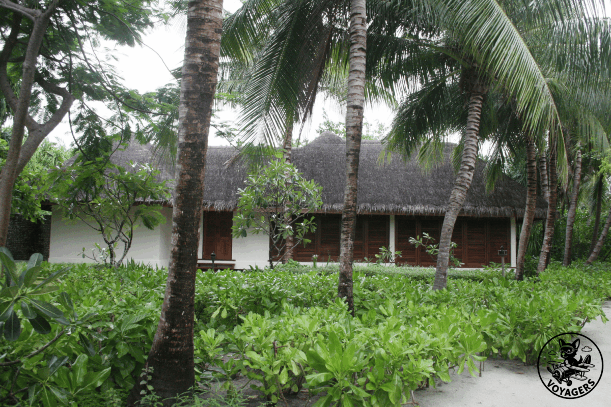 Villa aux Maldives entourée de palmiers et de végétation tropicale